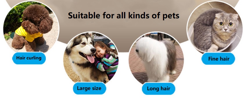 A60 USB কর্ডলেস পোষা ক্লিপার