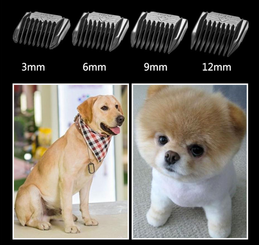 P67 কর্ডলেস পোষা ক্লিপার