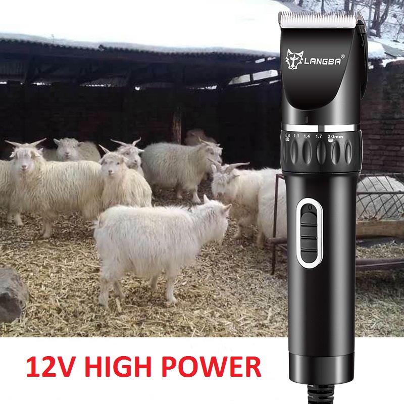 T45 কর্ডেড পোষা ক্লিপার